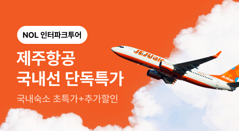 제주항공 국내선 단독특가
