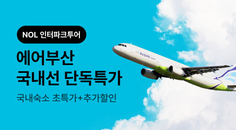 에어부산 국내선 단독특가