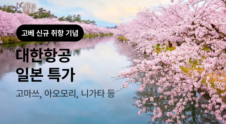 대한항공 일본 기획전