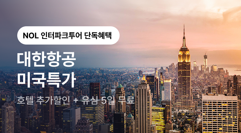 대한항공 미주 특가