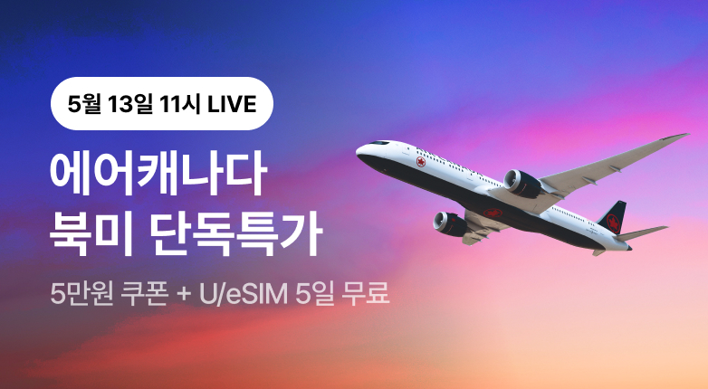 해외항공 최저가 LIVE