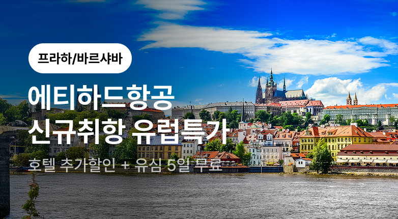 에티하드항공 프로모션