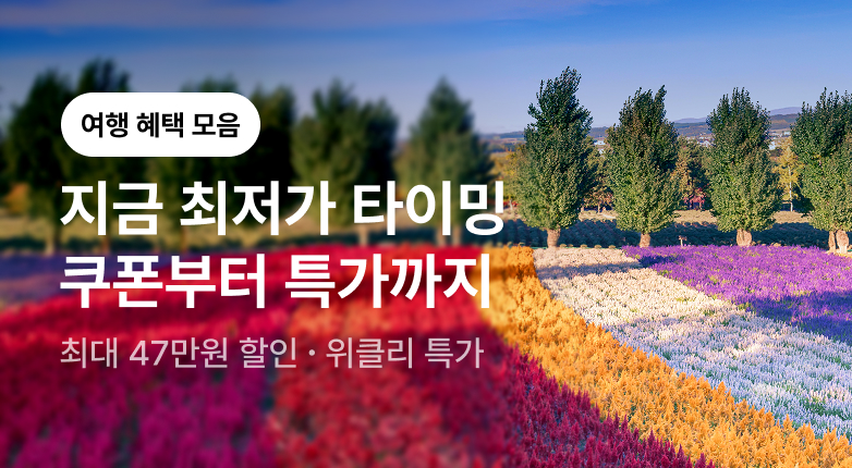 이달의 여행혜택 모음